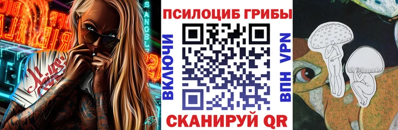 Купить  Бугуруслан  Псилоцибиновые грибы Psilocybe 